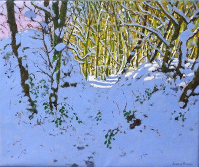 Sentiero nel bosco in inverno, Derbyshire da Andrew Macara