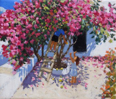 Raccogliendo limoni, Skiathos, Grecia da Andrew Macara