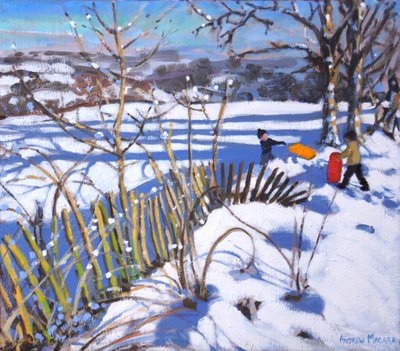 Slitte rosse e arancioni, Derbyshire, 2017 da Andrew Macara