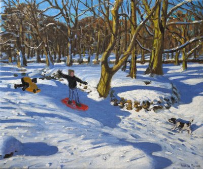 Slitta rossa, Lomberdale Hall, Derbyshire, 2014 da Andrew Macara