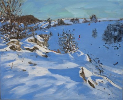 Slittatori, Derbyshire, 2011 da Andrew Macara