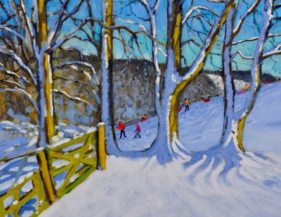 Slittino, Dam Lane, Derbyshire da Andrew Macara