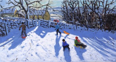 Slittino, Hartington, Buxton, 2020 da Andrew Macara