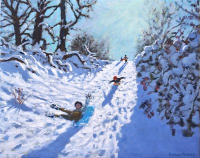 Slittino, Calke Abbey, Ticknall, Derby da Andrew Macara