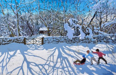 Slittino, Gambols Lane, Dovehead, High Peak, Derbyshire da Andrew Macara