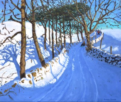 Slittino nel Peak District del Derbyshire da Andrew Macara
