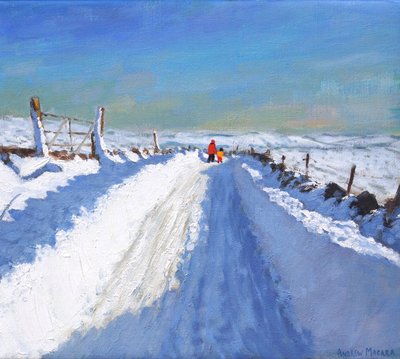 Strada spalata dalla neve, Derbyshire Peak District da Andrew Macara