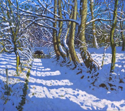 Il tunnel, Calke Abbey, Ticknall, Derby da Andrew Macara