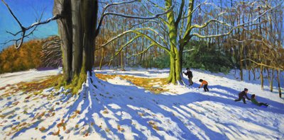 Cima del Parco di Allestree, 2014 da Andrew Macara