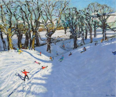 Inverno, Rowsley, Derbyshire, 2014 da Andrew Macara