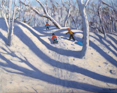 Inverno, Bramcote, Nottingham, 2009 da Andrew Macara