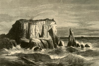 Scena costiera, contea di Marin, 1872 da Andrew Varick Stout Anthony