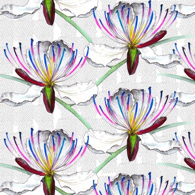 Fiori di cappero, 2017 da Andrew Watson