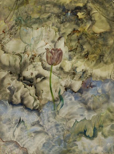 Emersione da Andrey Avinoff