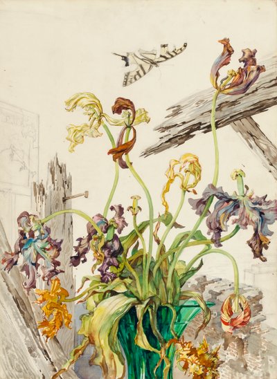 Tulipani da Andrey Avinoff