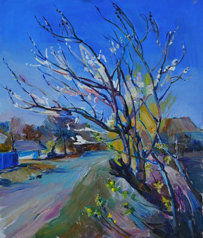 Il sentiero del villaggio in fiore da Andrii Kutsachenko