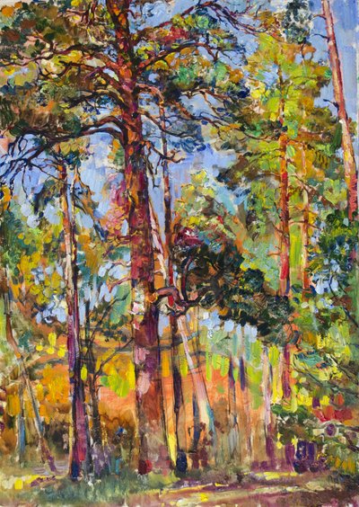Foresta di pini illuminata dal sole da Andrii Kutsachenko