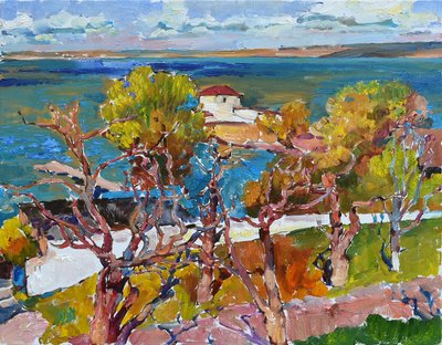 Una vista mozzafiato sul mare da Andrii Kutsachenko