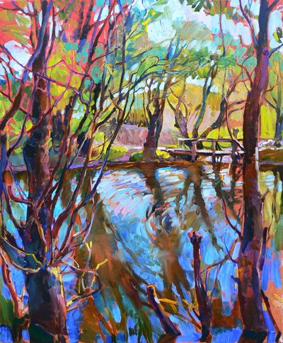 Riflessi vivaci della foresta da Andrii Kutsachenko