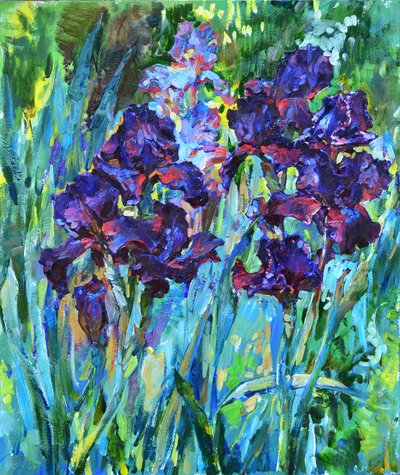 Iris viola dai colori vivaci da Andrii Kutsachenko