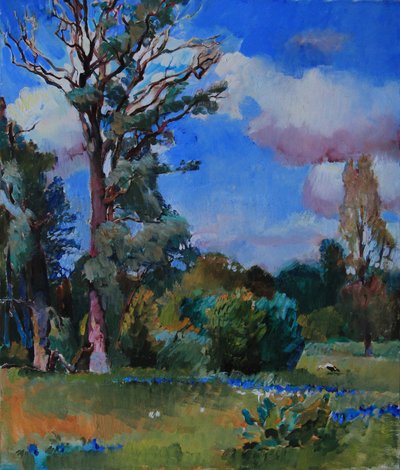 Un vivace paesaggio estivo da Andrii Kutsachenko