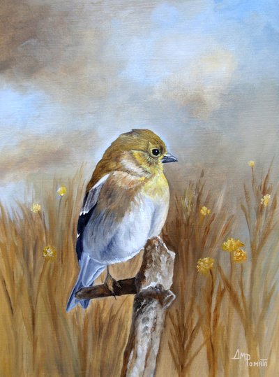 Autumn Finch Perch da Angeles M. Pomata