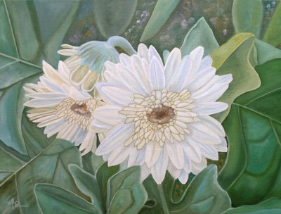  da Angeles M. Pomata