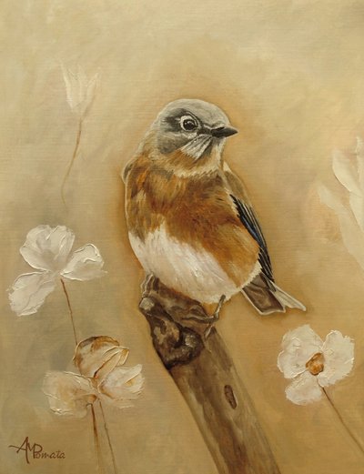  da Angeles M. Pomata