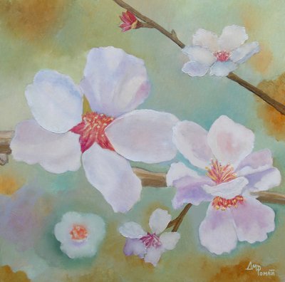 Delicati fiori primaverili da Angeles M. Pomata