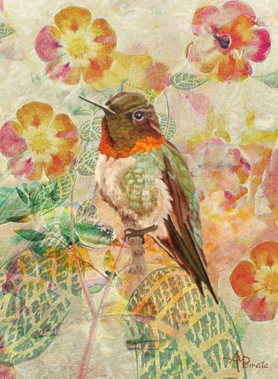 Colibrì e fiori da Angeles M. Pomata
