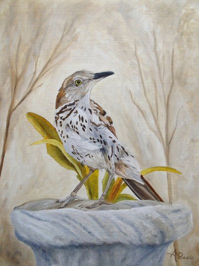  da Angeles M. Pomata