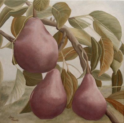  da Angeles M. Pomata