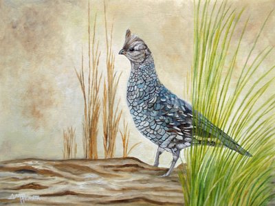 Gallo cedrone su un tronco da Angeles M. Pomata