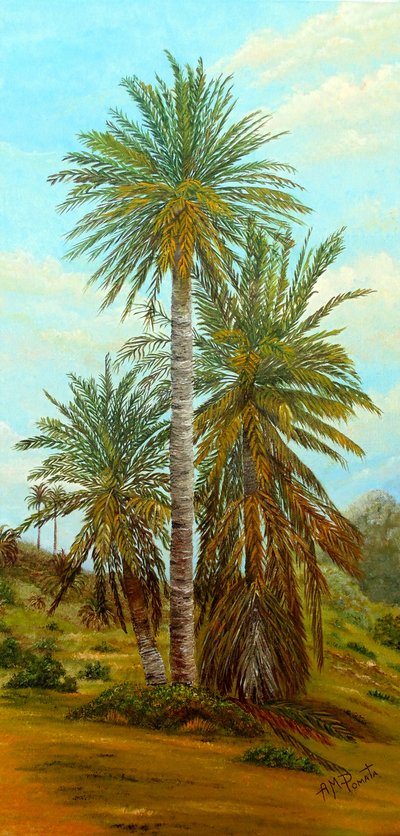  da Angeles M. Pomata