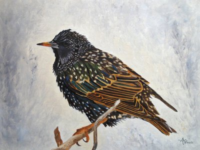  da Angeles M. Pomata