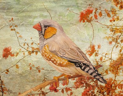  da Angeles M. Pomata