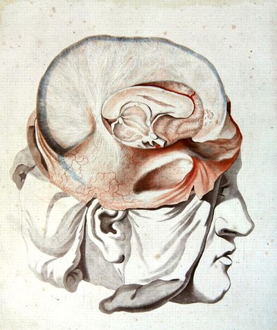 Il Cranio, da 