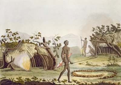 Capanna nativa, Nuova Olanda, tavola 64 da 