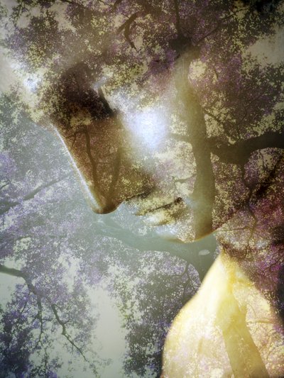 Profilo di Ethereal Forest da Angelo Cerantola