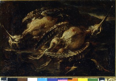 Natura morta di uccelli da Angelo Maria Crivelli