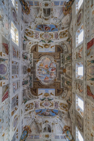 Soffitto della sala con i Quartieri di Bologna, Sala delle Guardie, Palazzo Ducale Estense, Sassuolo, Italia da Angelo Michele Colonna