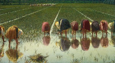 Per ottanta centesimi da Angelo Morbelli
