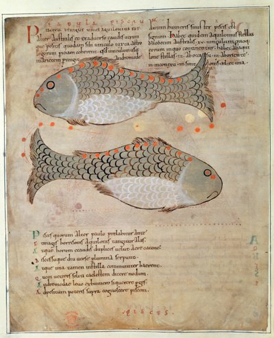 La costellazione dei Pesci da 