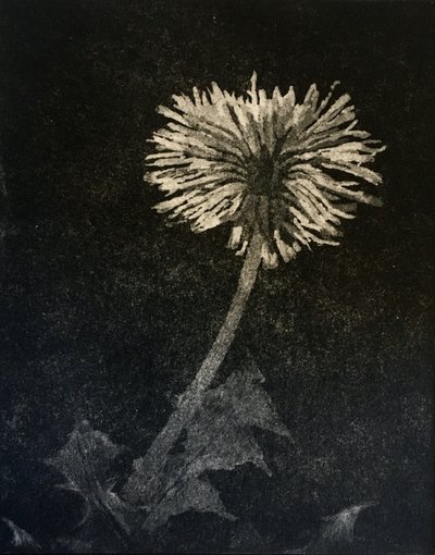 Speranza, 2019 da angus hampel
