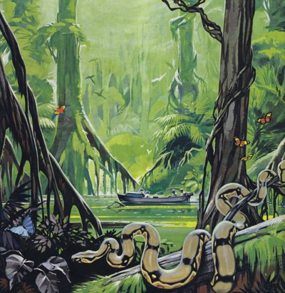 Esplorazione del Rio delle Amazzoni (litografia a colori) da Angus McBride