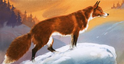 Volpe nella neve da Angus McBride