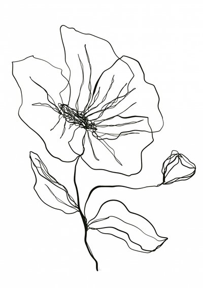Delicato schizzo di un fiore da Ankie Kooi
