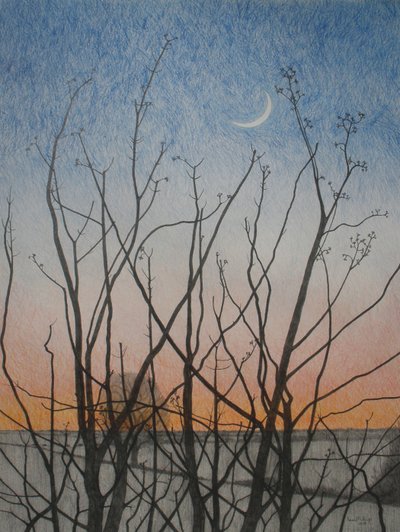 Dalla mia finestra, 2011 da Anna Phillips