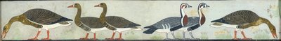 Copia di pittura murale dalla Mastaba di Itet, Medum IV, 93-94 oche, XX secolo da Anna
