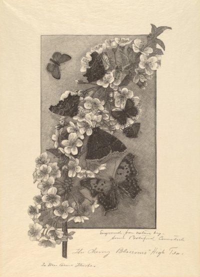 I Fiori di Ciliegio - Tè delle Cinque da Anna Botsford Comstock